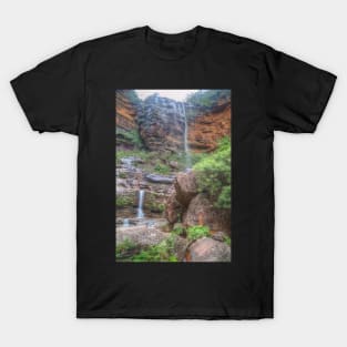 Rocks & Ferns At Wentworth Falls T-Shirt